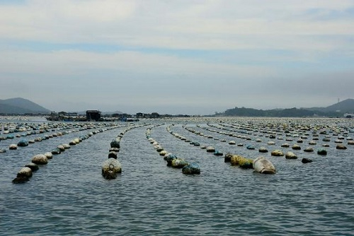 水質(zhì)分析儀表在水產(chǎn)養(yǎng)殖上的應(yīng)用